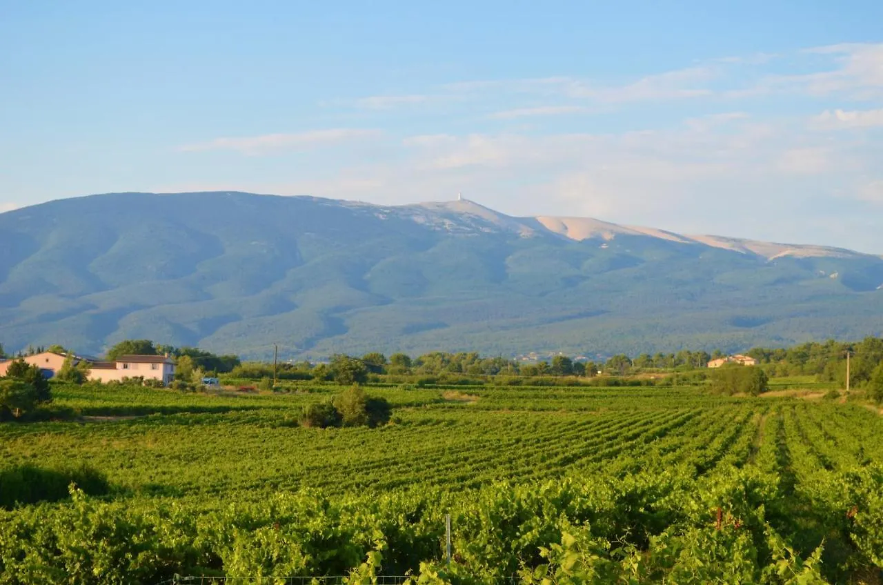 Vacances En Provence Cypres 모르무아롱 0*,